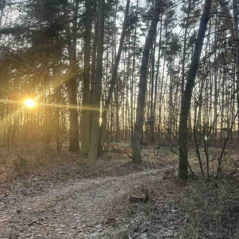 10000 kroków po pięćdziesiątce👍 Hanna post image