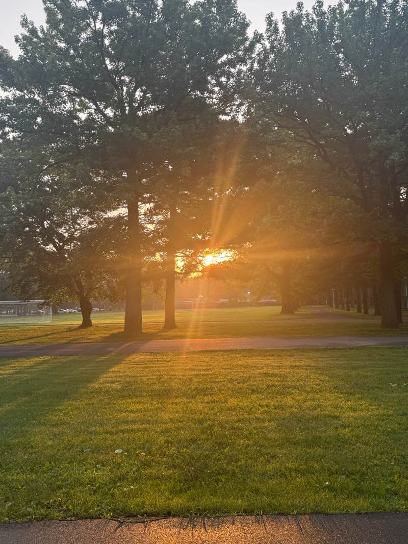 walking near me in Eisenhower Park in summer