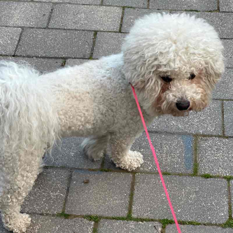 Sam’s club Ofir post image