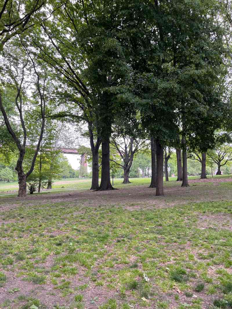 walking near me in Astoria Park in spring