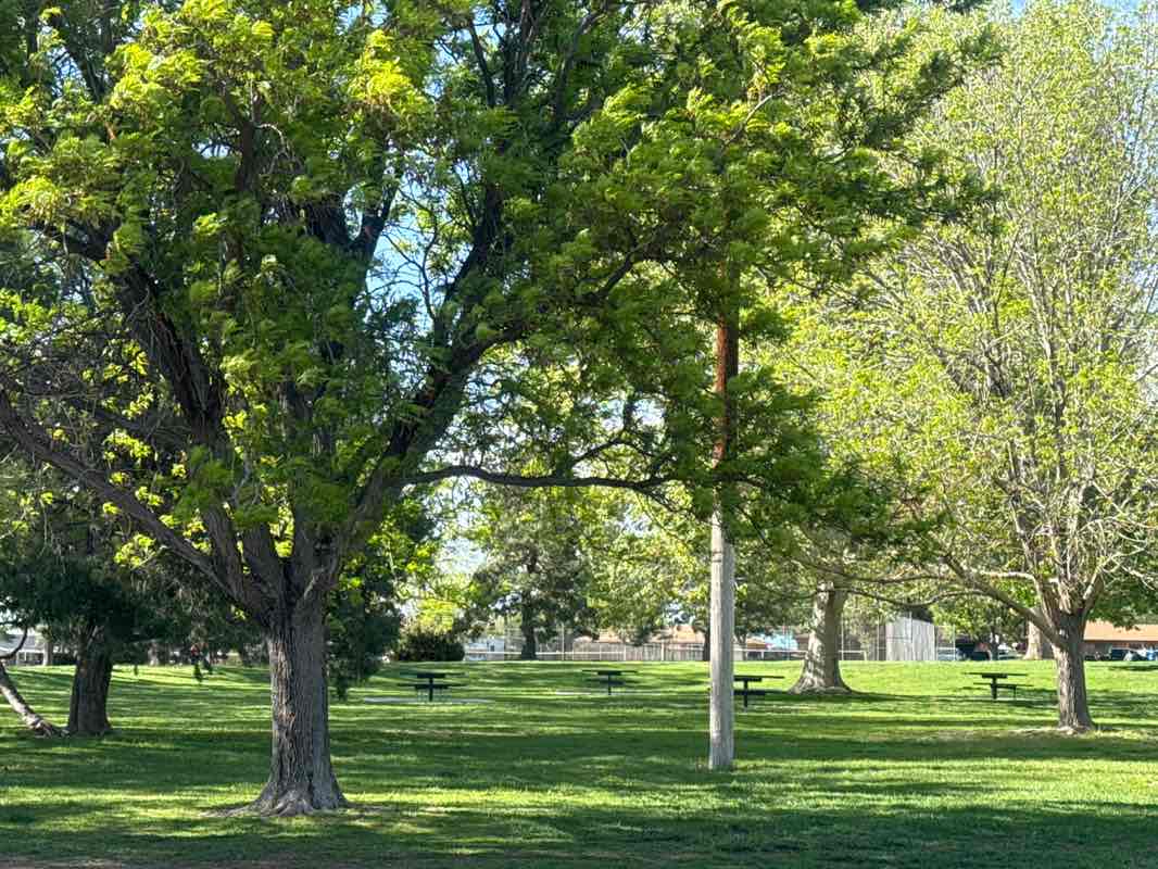 walking near me in Hoffman Park in spring