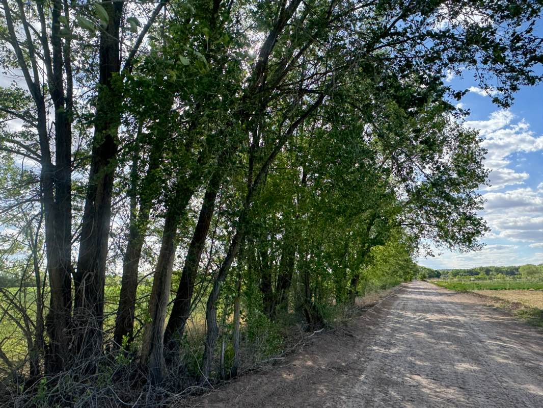 walking near me in Los Poblanos Fields in spring