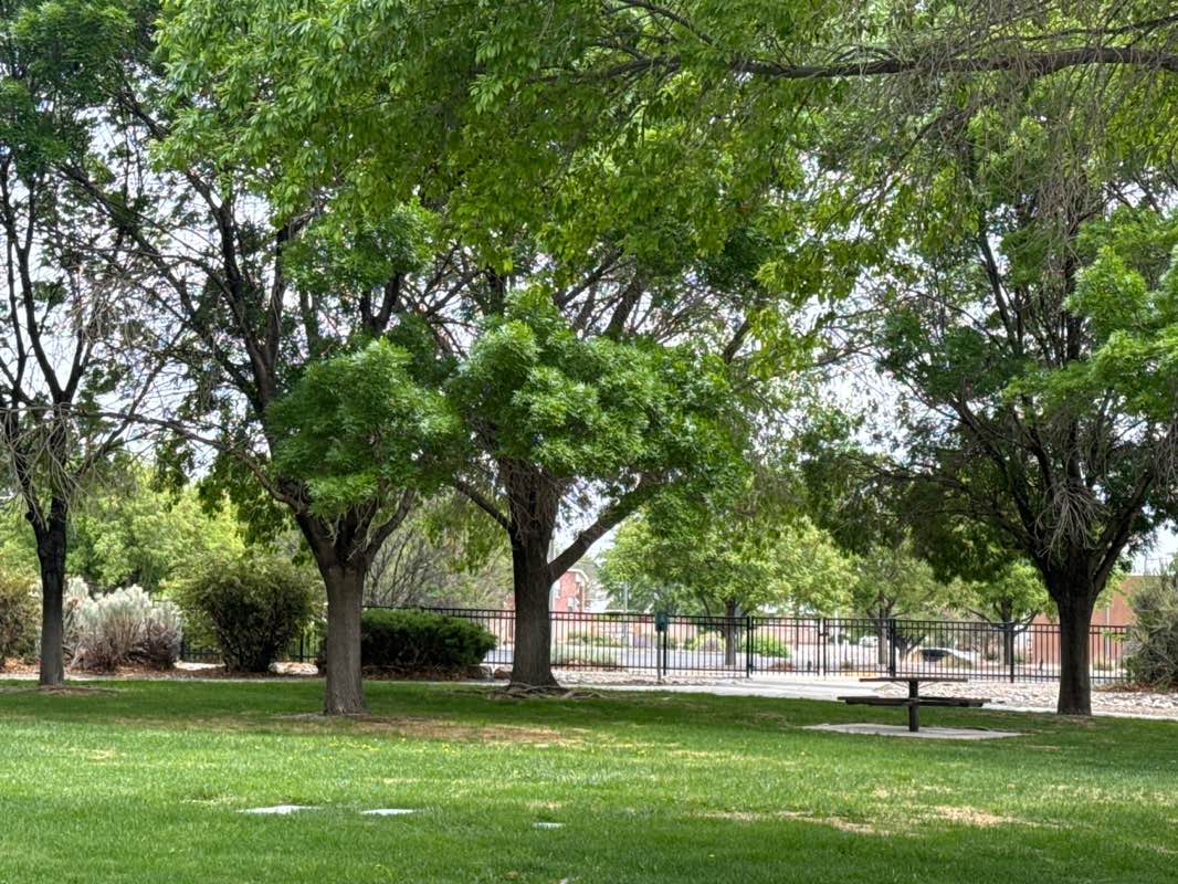 walking near me in Rancho De Palomas Park in spring