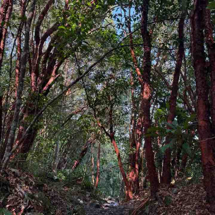 𝓲𝓶𝓪𝓱 post 1