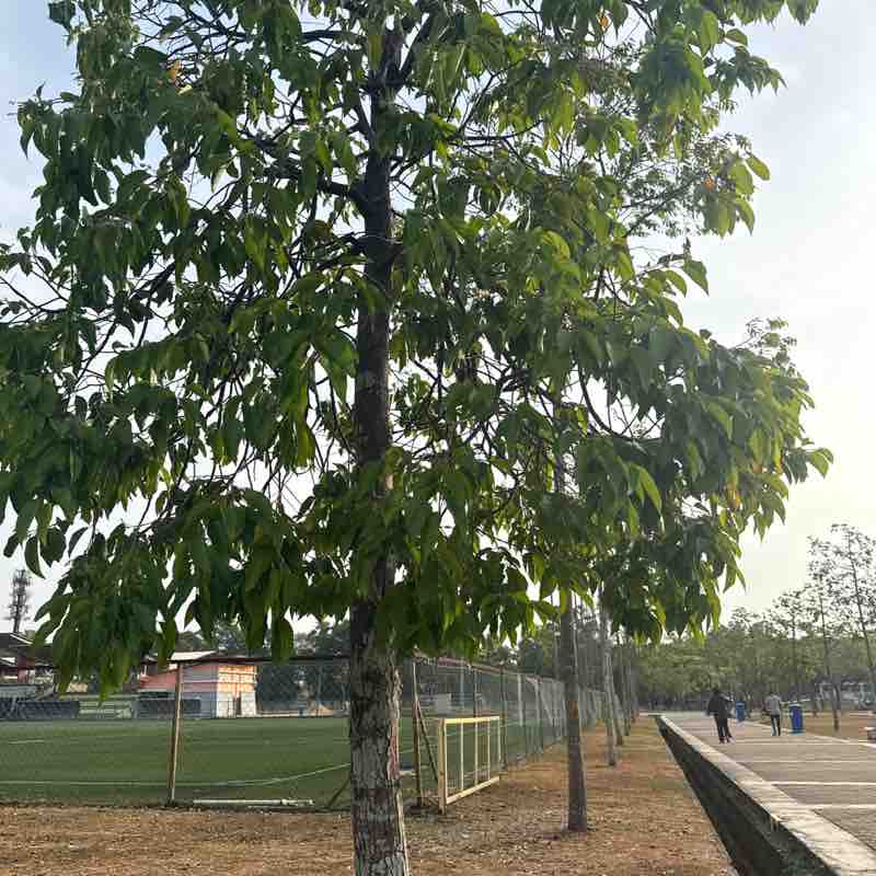 𝓲𝓶𝓪𝓱 post 2