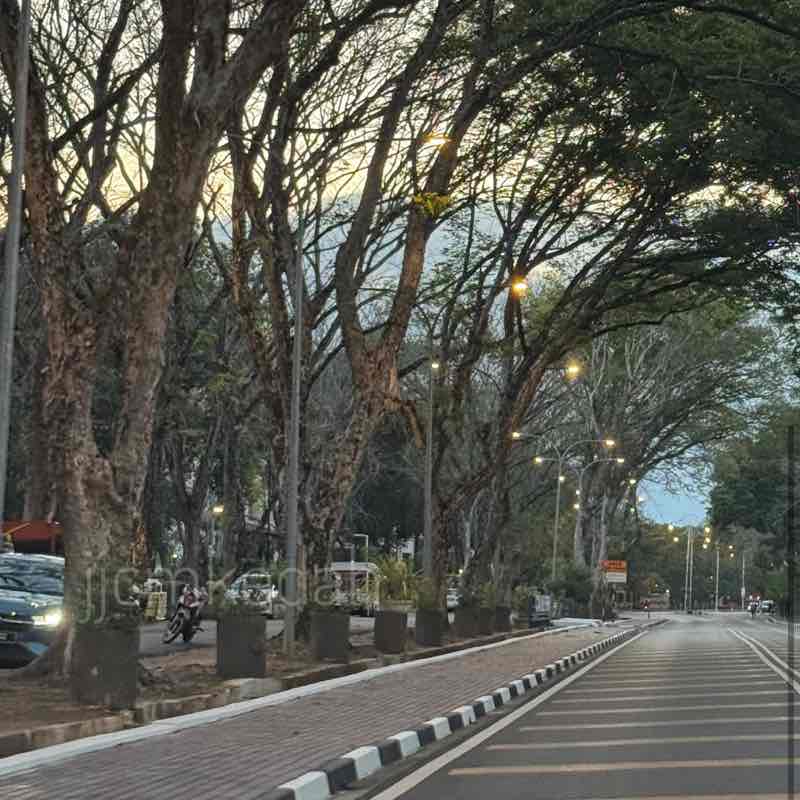 𝓲𝓶𝓪𝓱 post 1