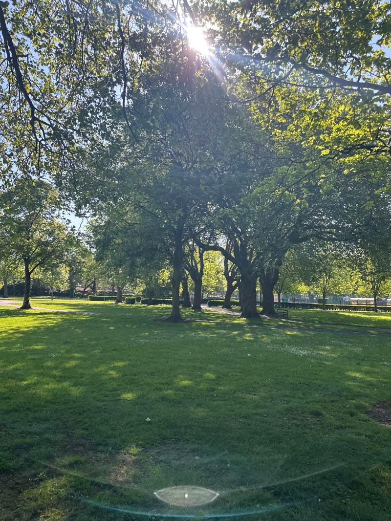 walking near me in Palfrey Park in spring