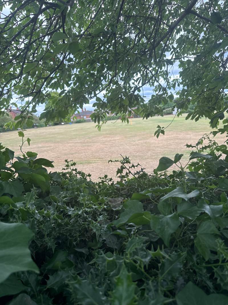 walking near me in Coleshill Memorial Park in summer