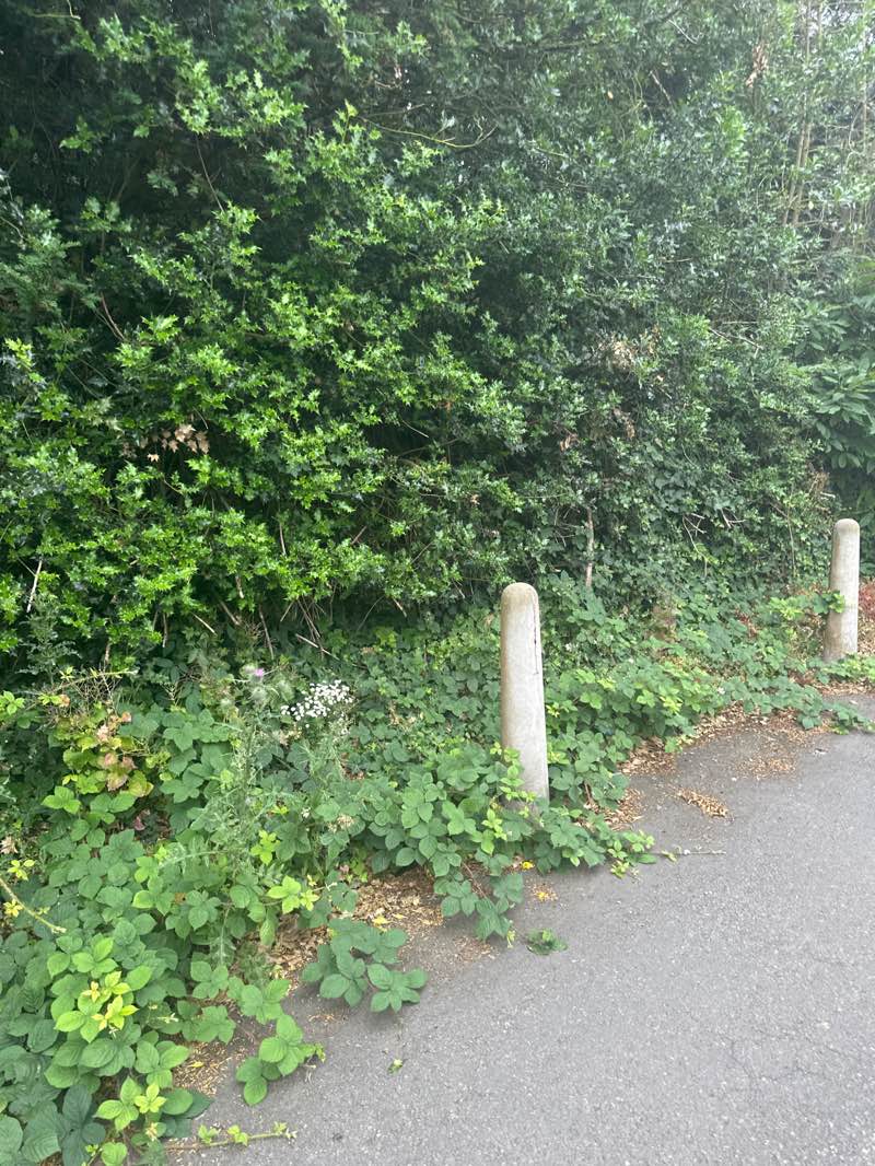 walking near me in The Croft in summer