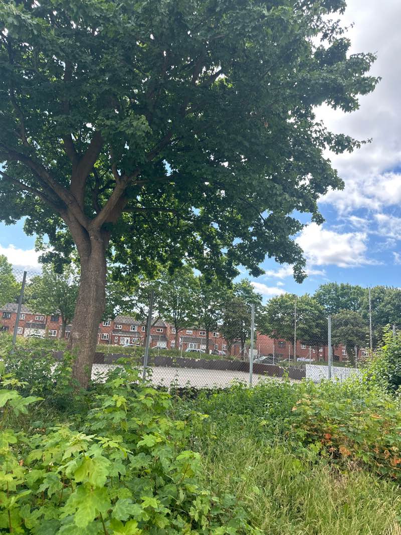 walking near me in Rutter Street Play Area in summer