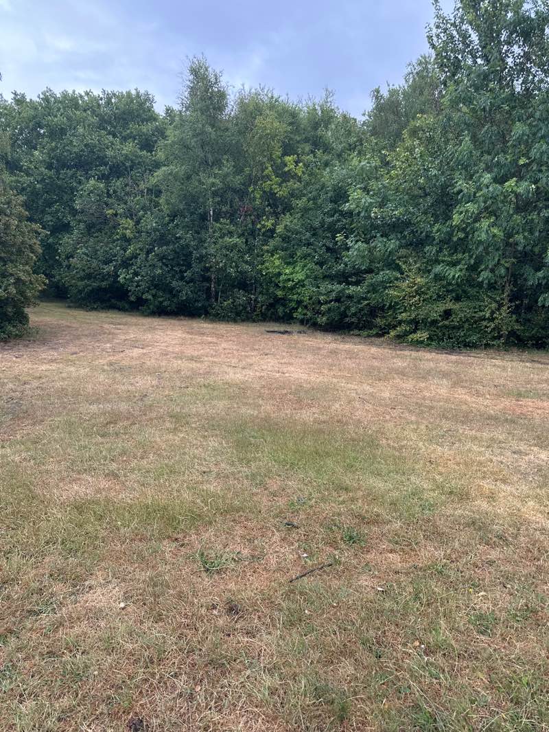 walking near me in Primley Avenue Park in summer