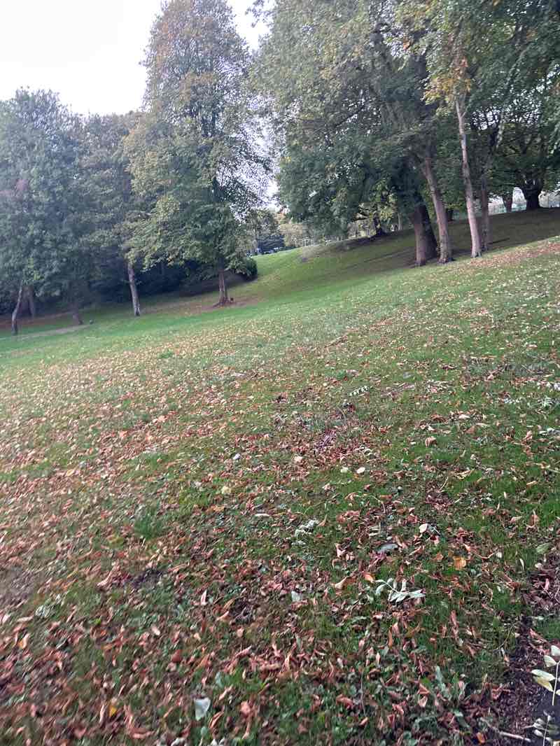 walking near me in Reedswood Park in autumn