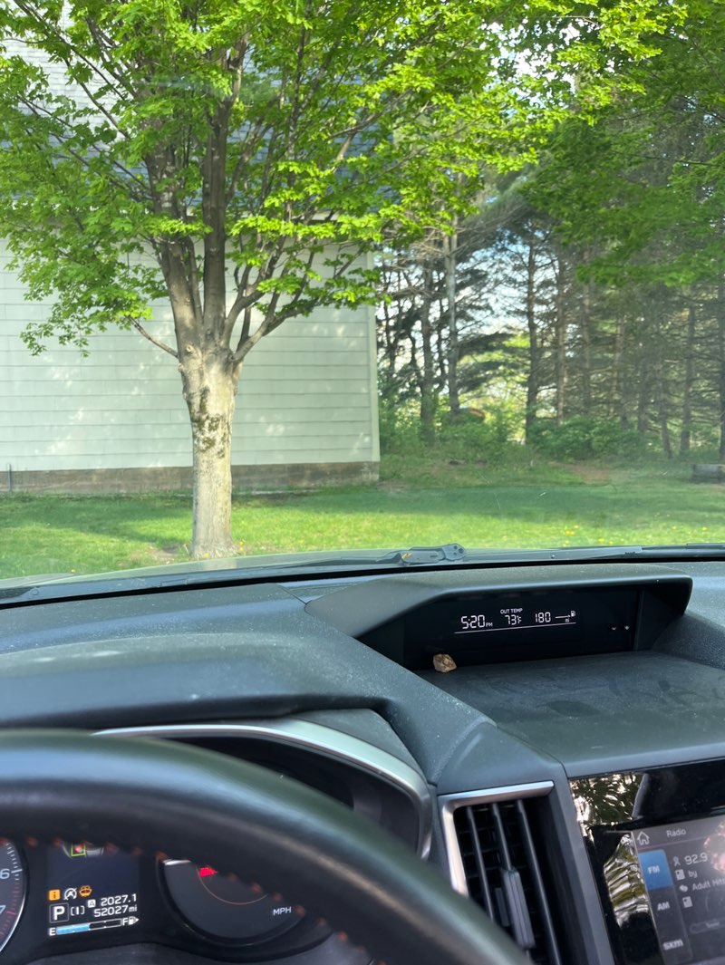 walking near me in McKenzie Park in spring