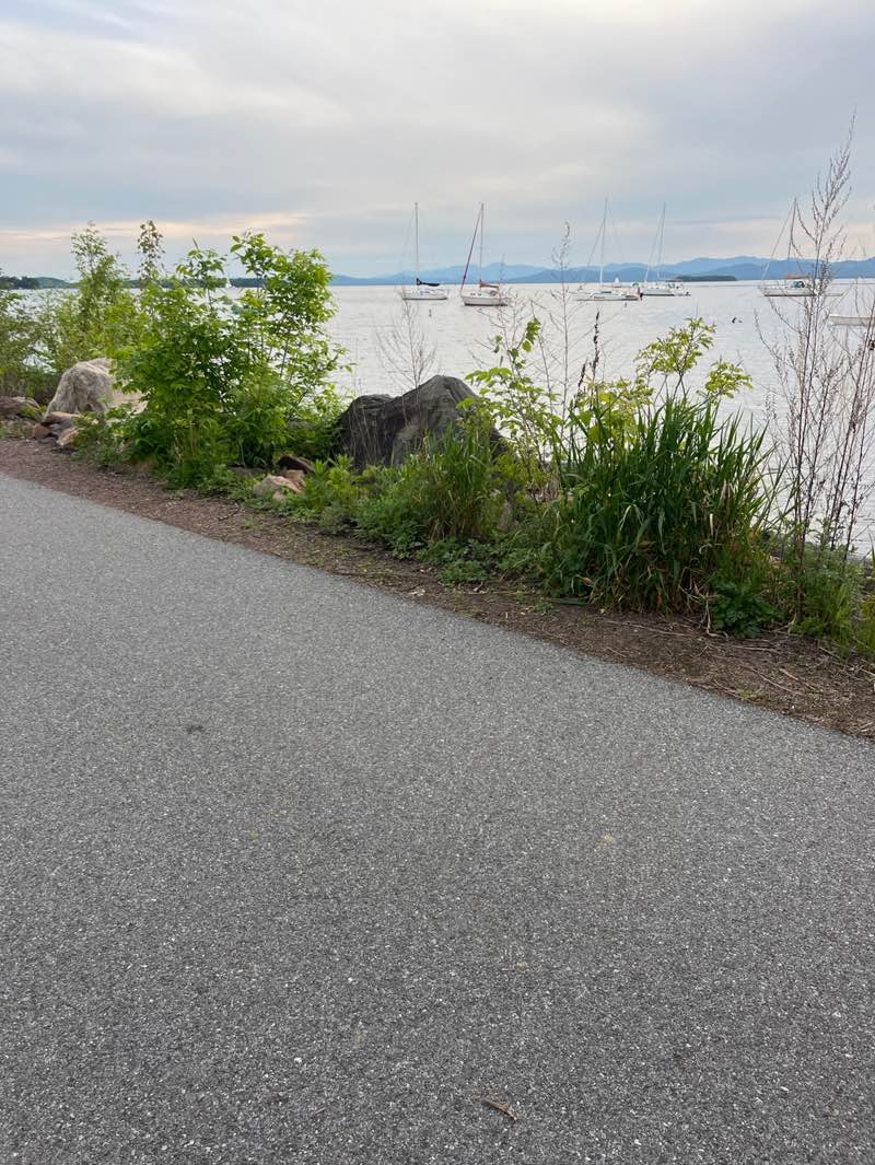 walking near me in Roundhouse Park in spring