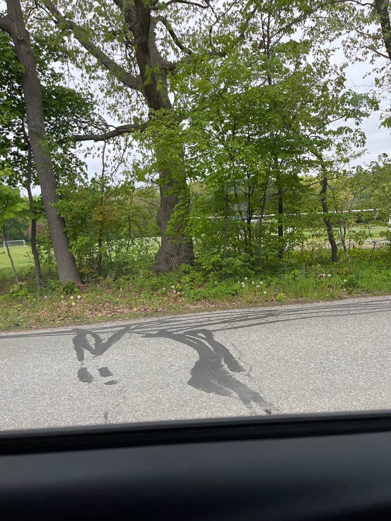 walking near me in Starr Farm Park in spring