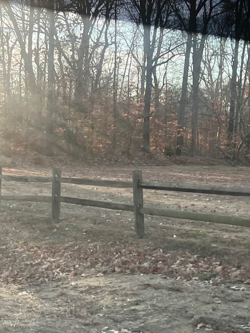walking near me in Saint Clair Brooks Memorial Park in winter