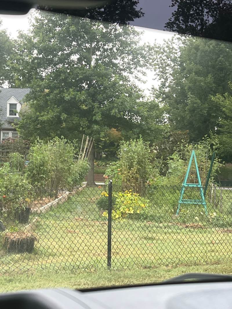 walking near me in Cossey Botanical Park in autumn