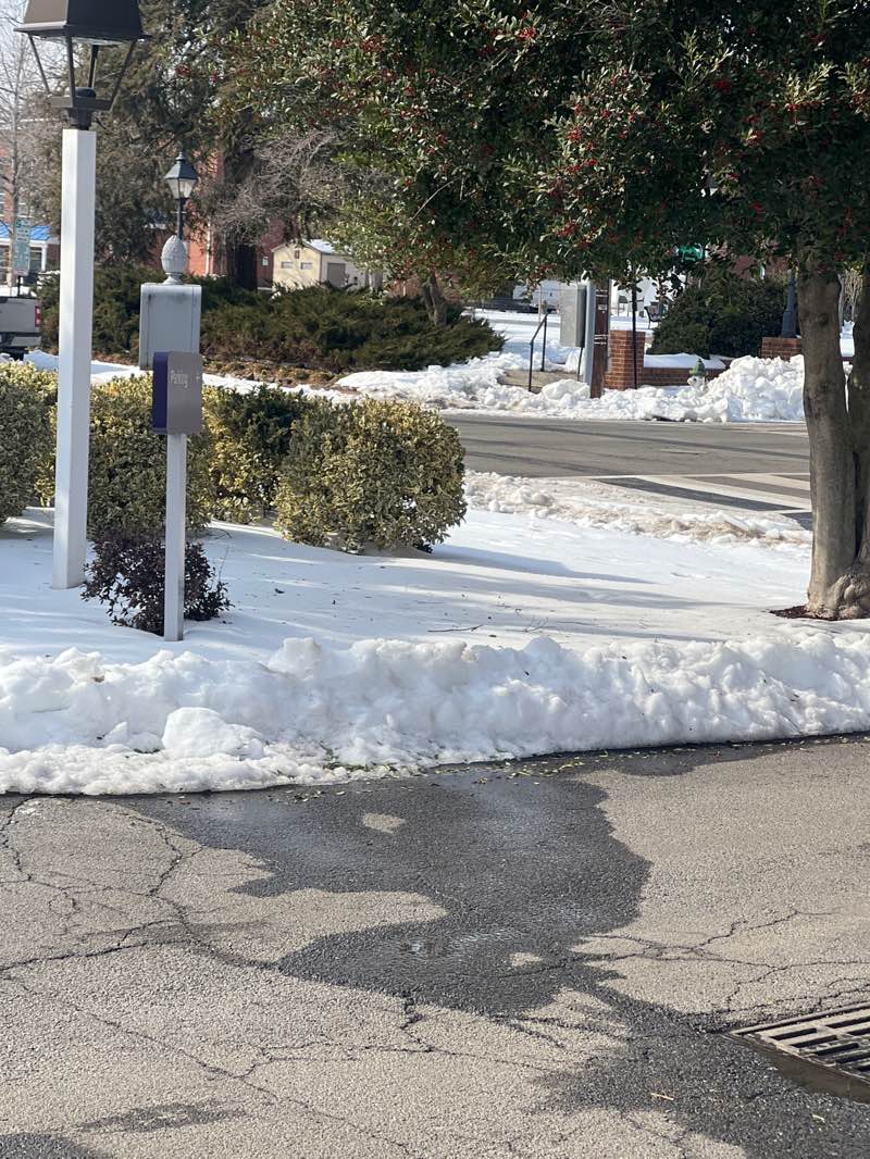 walking near me in Hurkamp Park in winter