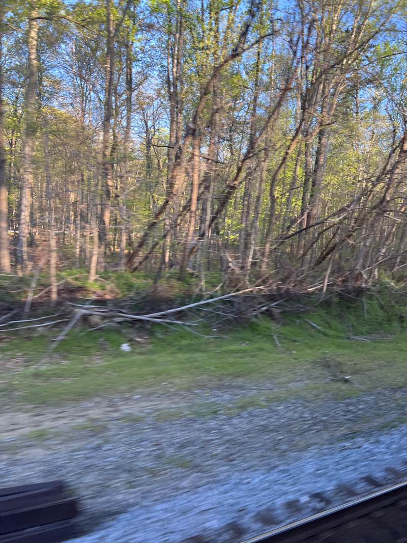 walking near me in Leesylvania State Park in spring