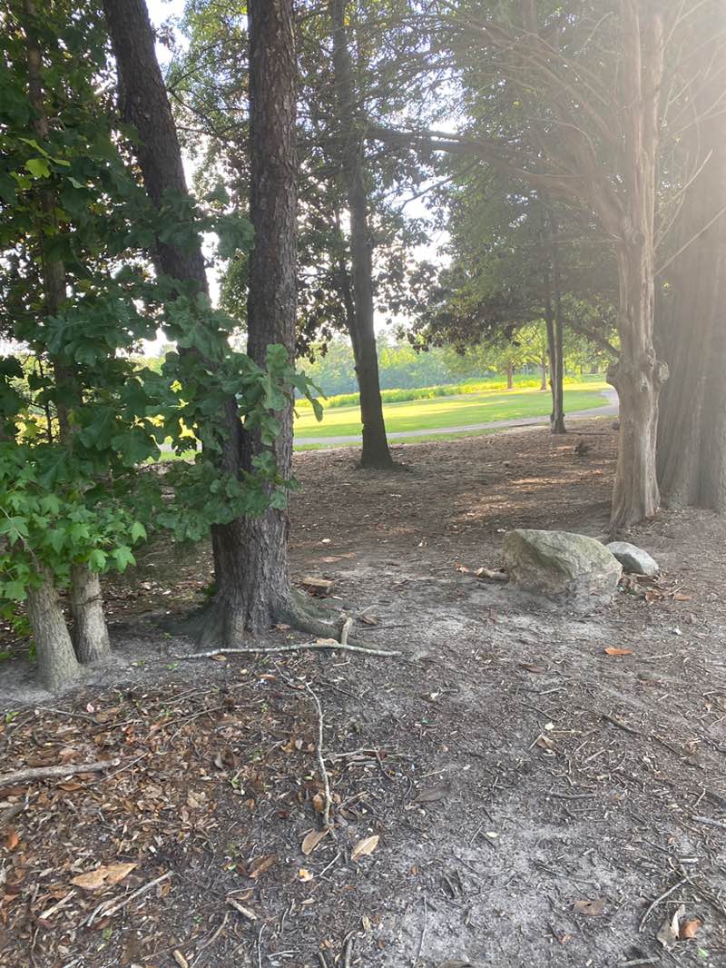 walking near me in Anderson Point Park in spring