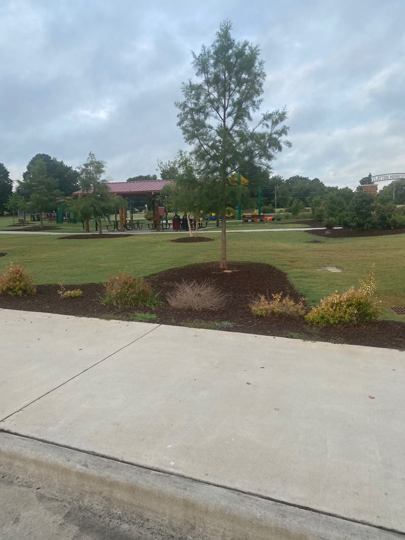 walking near me in Clayton Municipal Park in summer