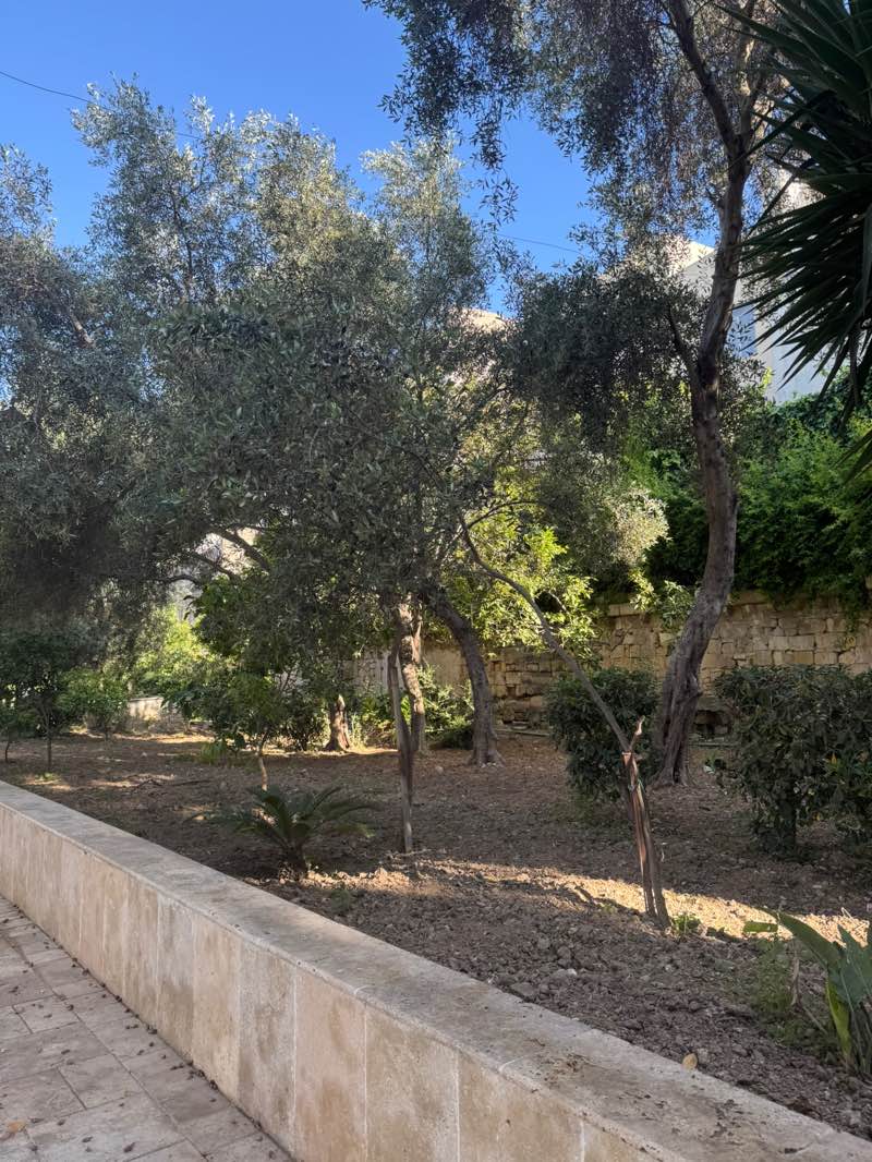 walking near me in L-Istazzjon ta' Birkirkara in spring