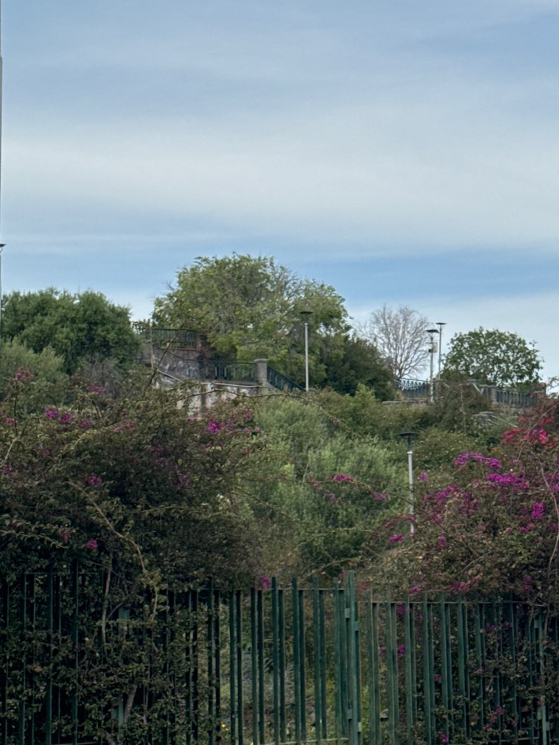 walking near me in Gioeni Park in spring