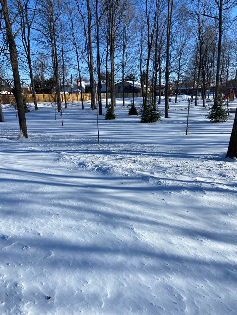 walking near me in Parc Edgar-Budge in winter