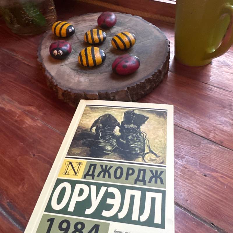 dB Расул post image