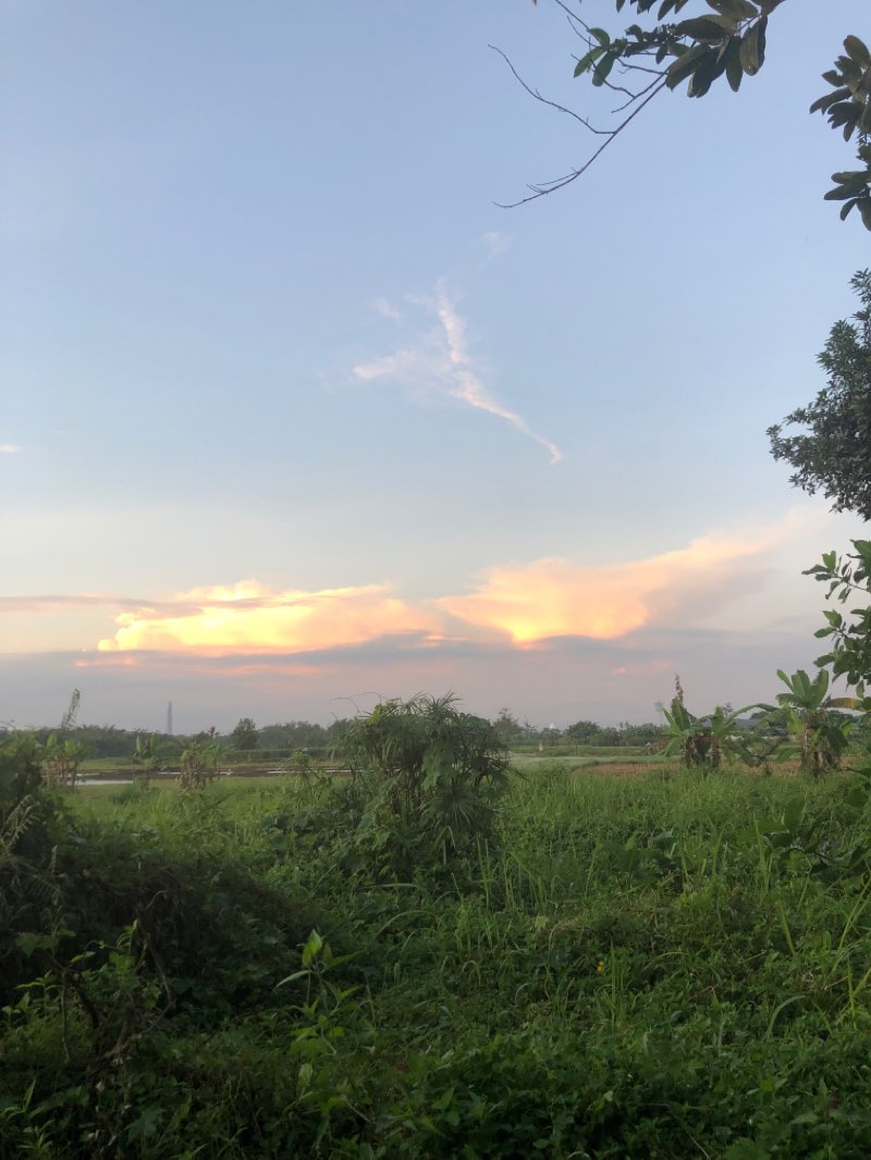 walking near me in Taman Kota Bale Kemambang in autumn