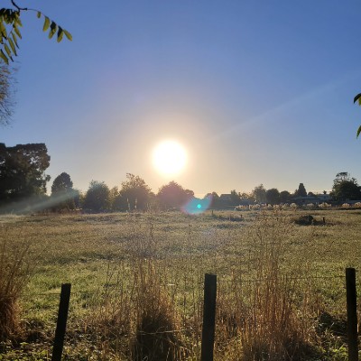 Jamie Mellsop post 3