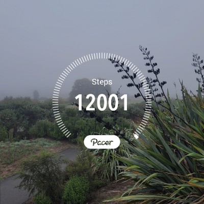 Jamie Mellsop post 1