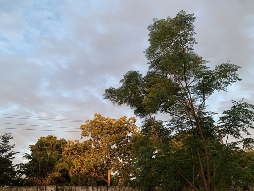 walking near me in Fyapakale Park in summer