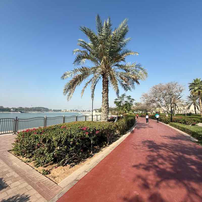 Alpin-Ramadan Steps Challenge Raynier post image