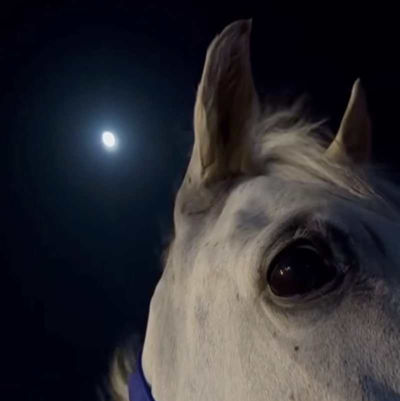 Mohamed Khalid profile