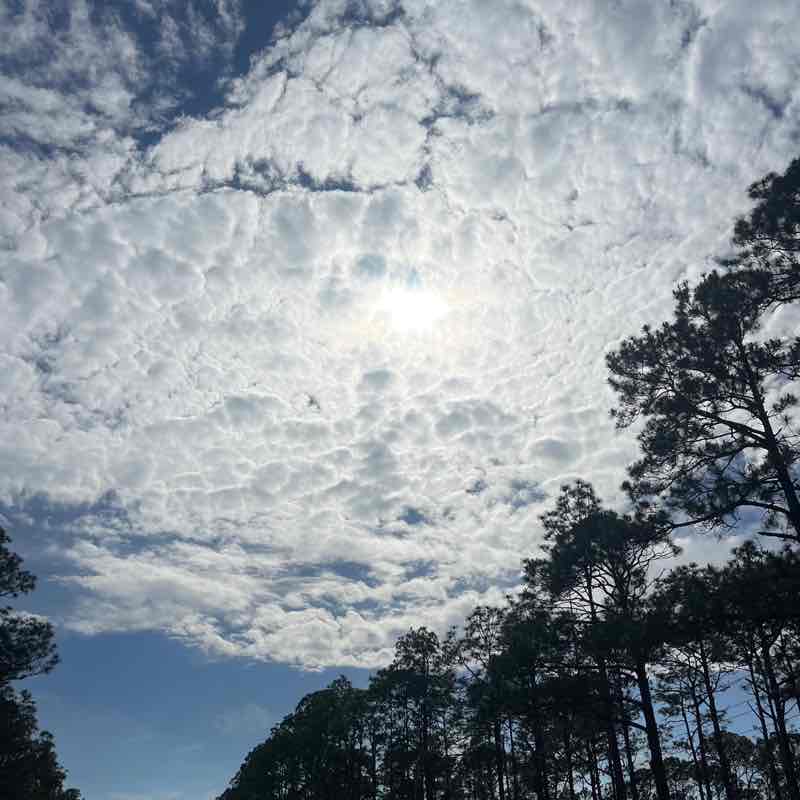 Peter Joseph ✝️ post 3