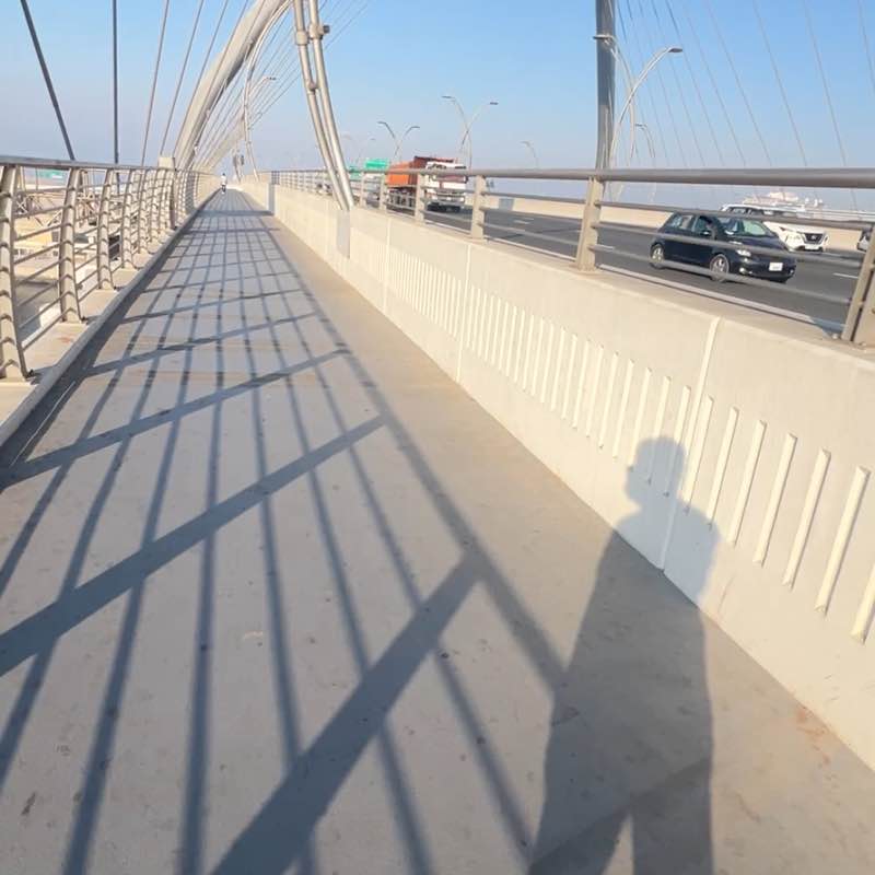 Alpin-Ramadan Steps Challenge Rey Rondilla post image