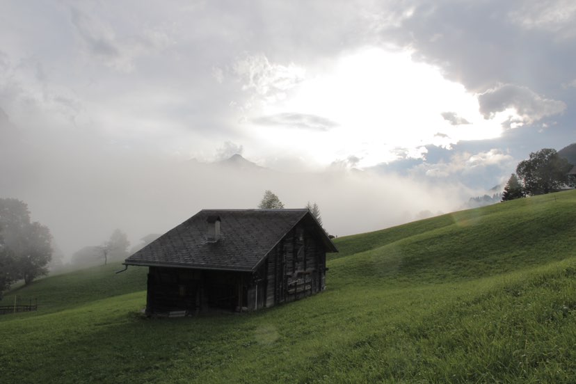 Jawhara Almulhim profile