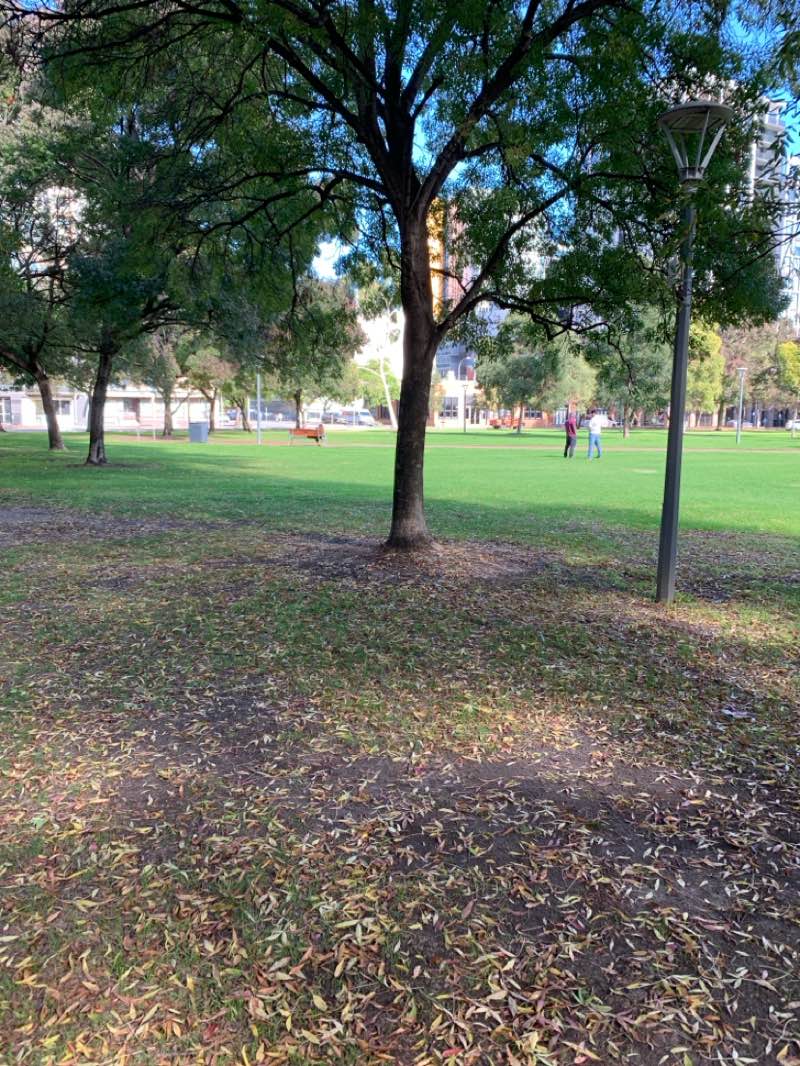 walking near me in Light Square in winter