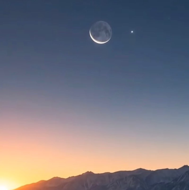 Billie post 1