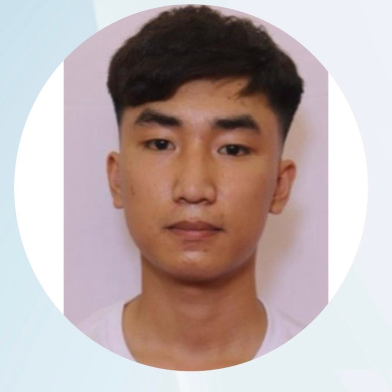 Hoàng Việt Anh profile