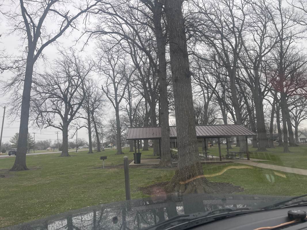 walking near me in Haynes Park in spring