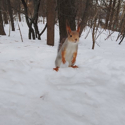 Colvir’s Club Mikhail Butorin post image