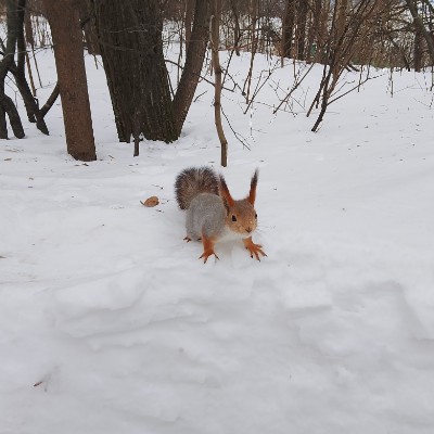 Colvir’s Club Mikhail Butorin post image