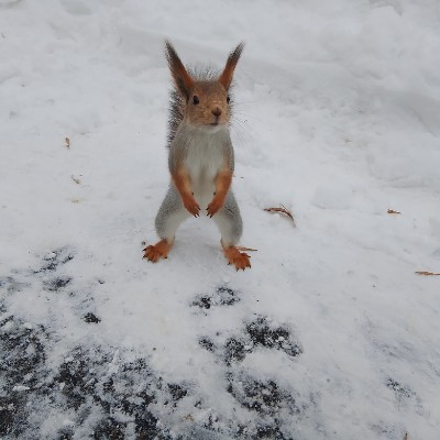 Colvir’s Club Mikhail Butorin post image