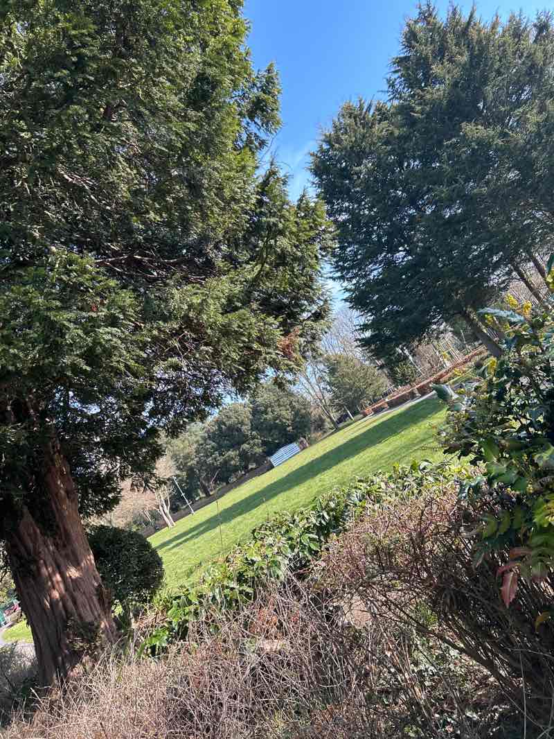 walking near me in Belle Vue Park in spring