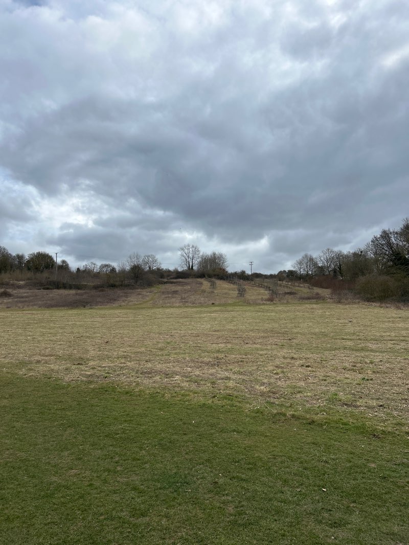 walking near me in Great Cornard Country Park in spring