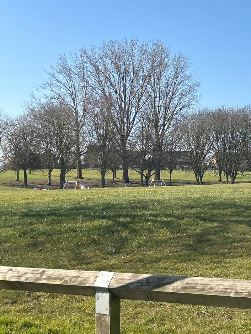 walking near me in Meadowside Park in spring