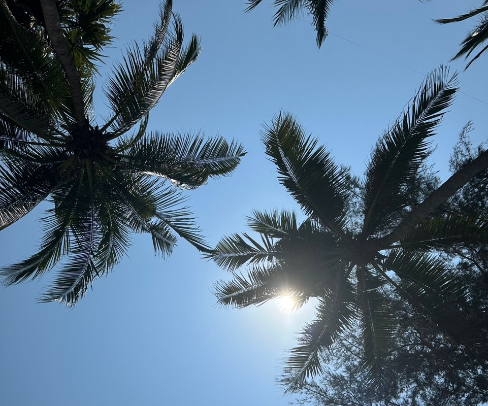 Ekaterina Bagaeva profile