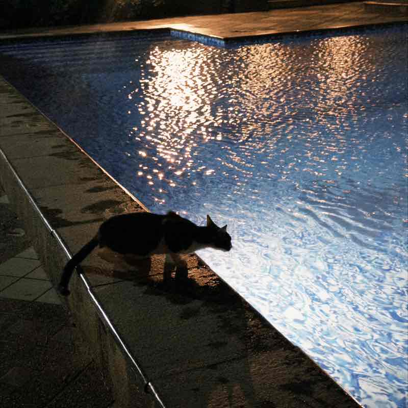 IHG Lean In PH Elizabeth Grace Gonzales post image